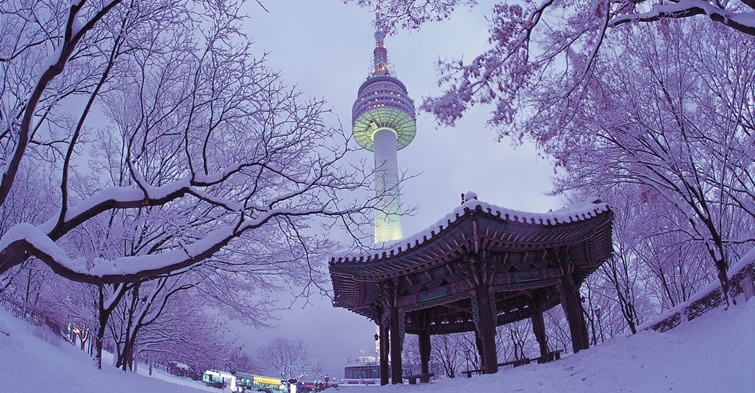 Korea - winter beauty in Namsan Park, Seoul
